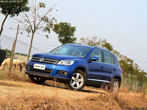 新車(chē)一日拆兩回發(fā)動(dòng)機(jī) 大眾油品頑疾十年未解